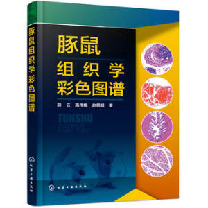 豚鼠组织学彩色图谱