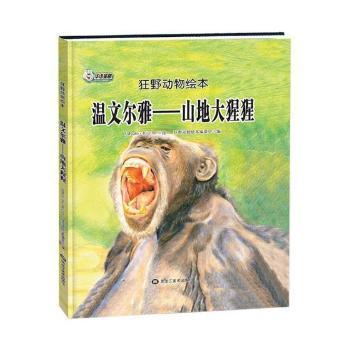 温文尔雅——山地大猩猩