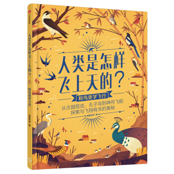 人类是怎样飞上天的？