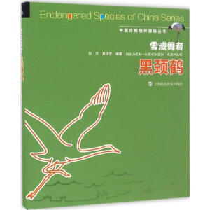 雪域舞者——黑颈鹤