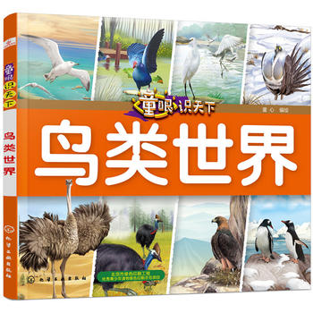 童眼识天下——鸟类世界