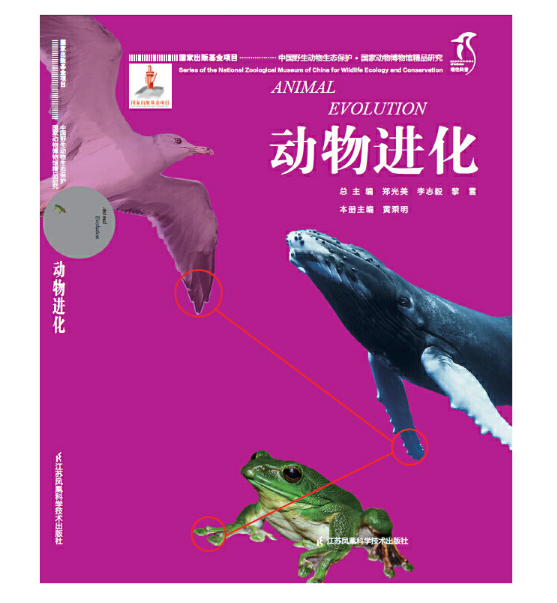 国家动物博物馆精品研究----动物进化