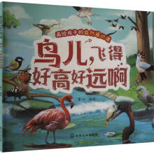 鸟儿，飞得好高好远啊