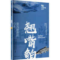 乘风破浪的白鱼