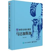 神奇动物在哪里 马达加斯加