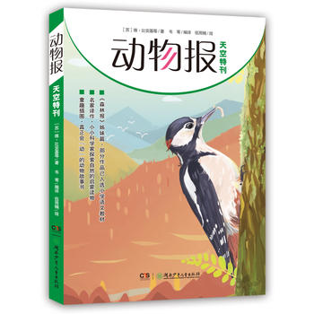 动物报:天空特刊