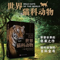 世界猫科动物