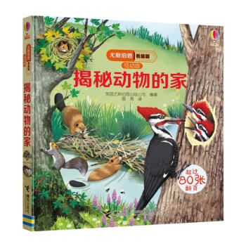 揭秘动物的家