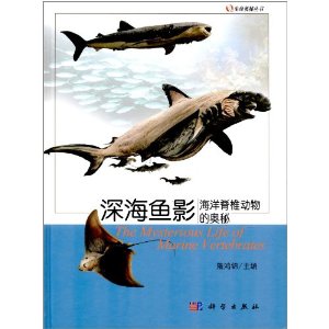 海洋脊椎动物的奥秘