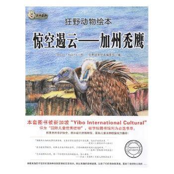 惊空遏云——加州秃鹰