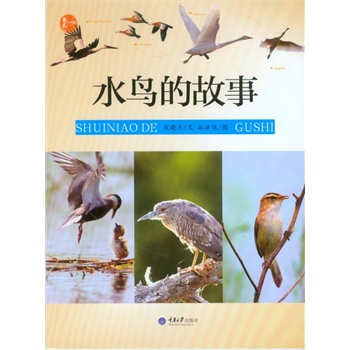 水鸟的故事