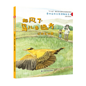 中国原创图画书：起风了，鸟儿去远方-迁徙鸟观察
