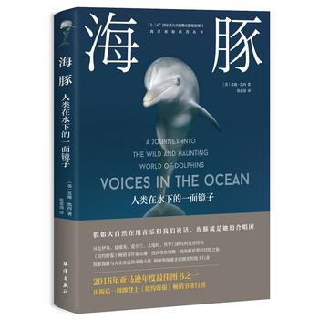 海豚——人类在水下的一面镜子