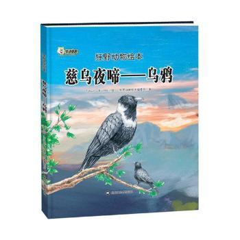 慈乌夜啼——乌鸦