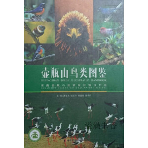 壶瓶山鸟类图鉴