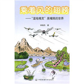 乘着风的翅膀：“湿地精灵”黑嘴鸥的世界