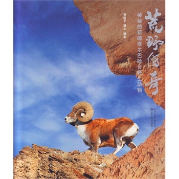 荒野传奇：神秘的新疆塔尔巴哈台野生动物