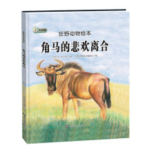 角马的悲欢离合