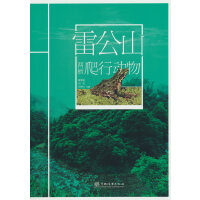 雷公山两栖爬行动物