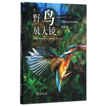 自然观察丛书：野鸟放大镜 食衣篇