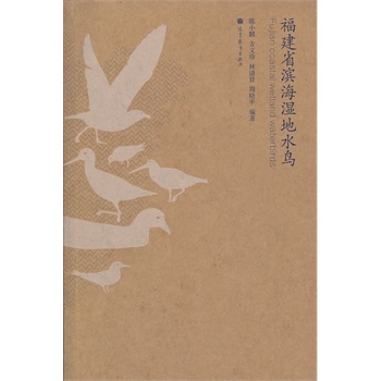 福建省滨海湿地水鸟