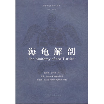 海龟解剖