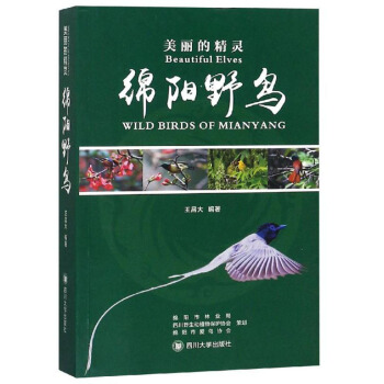 美丽的精灵：绵阳野鸟