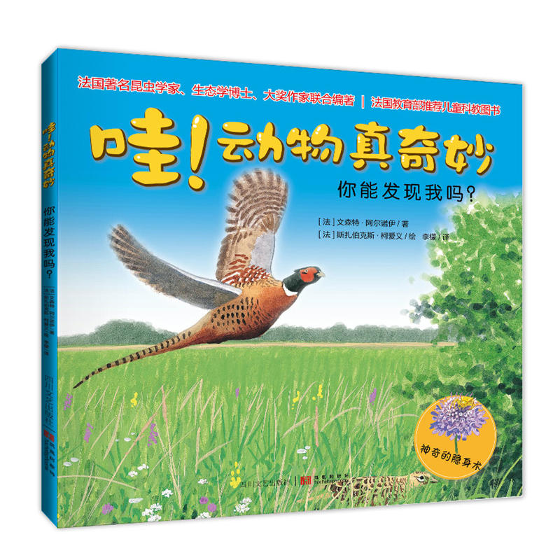 哇！动物真奇妙:你能发现我吗？