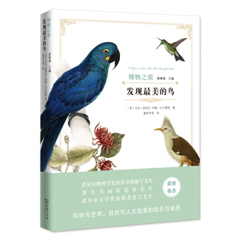 发现最美的鸟
