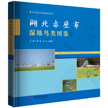  湖北赤壁市湿地鸟类图鉴