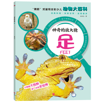 神奇的放大镜 足