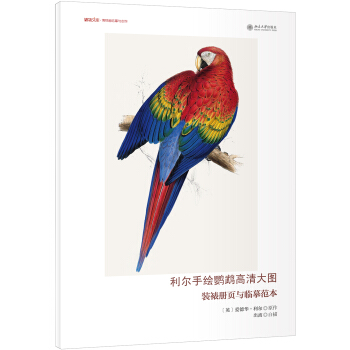 利尔手绘鹦鹉高清大图