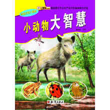 奇趣百科大揭秘；小动物大智慧（四色）