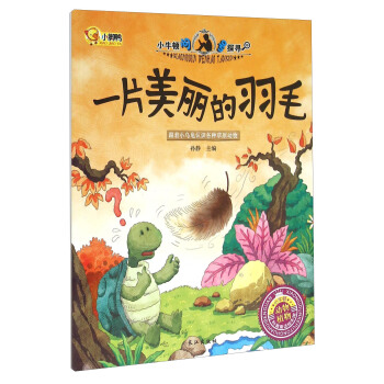 一片美丽的羽毛