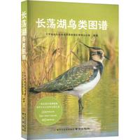 长荡湖鸟类图谱
