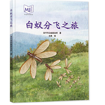  白蚁分飞之旅