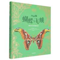  DK绚丽的蝴蝶与飞蛾