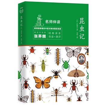 昆虫记 八年级上册 语文名师导读升级版（无障碍阅读）