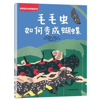 毛毛虫如何变成蝴蝶