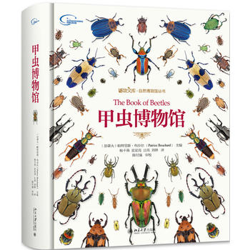 甲虫博物馆
