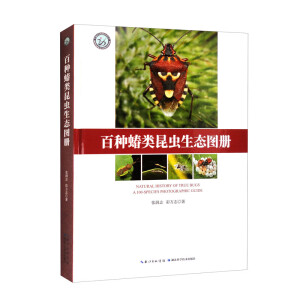 百种蝽类昆虫生态图册