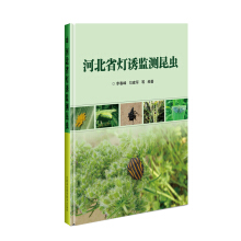 河北省灯诱监测昆虫