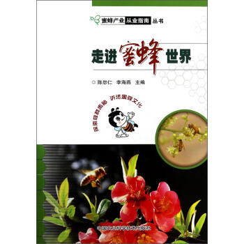 走进蜜蜂世界