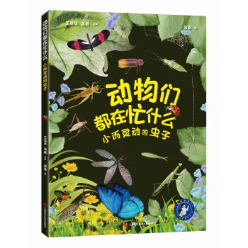  动物们都在忙什么：小而灵动的虫子