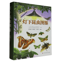 灯下昆虫图鉴
