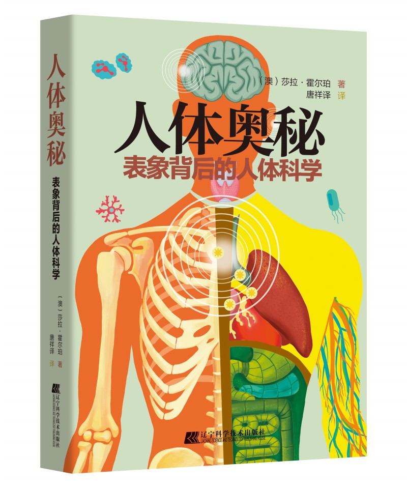 人体奥秘：表象背后的人体科学