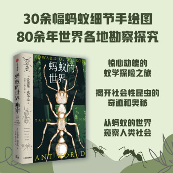 【赠炫酷印银蚂蚁卡片】蚂蚁的世界 爱华德·威尔逊 最新作品 生物科普书 昆虫学读物 冉浩推荐