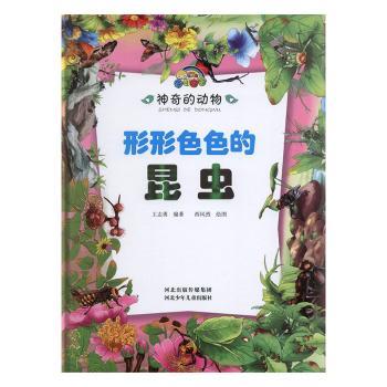 形形色色的昆虫