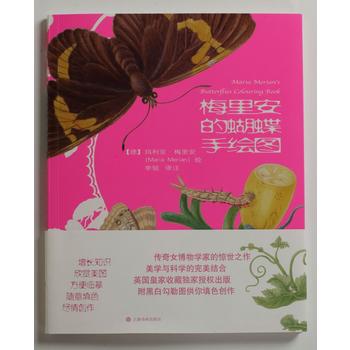  梅里安的蝴蝶手绘图