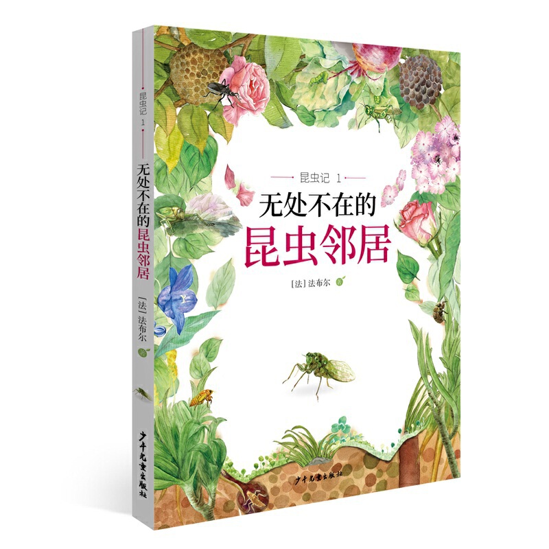 昆虫记1 无处不在的昆虫邻居